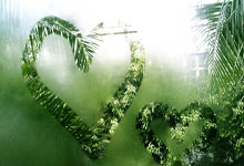 里斯本竞技对阵吉维森特最终比分是多少？这场比赛有哪些关键看点？